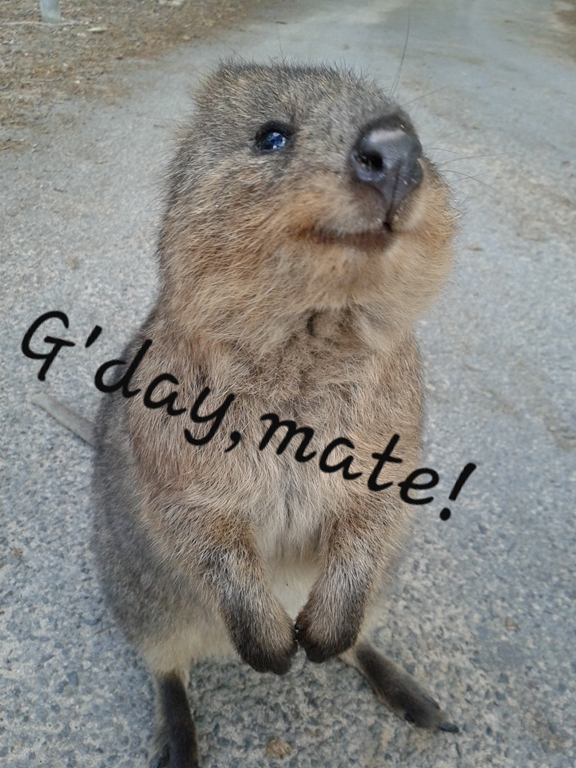 mate-quokka