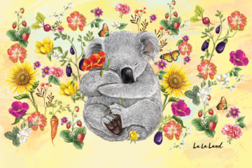secret-garden-koala