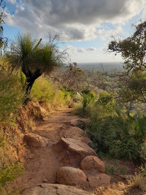 australian-scenery