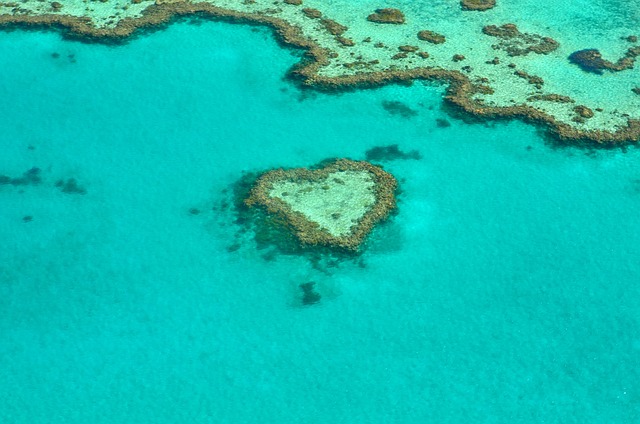 australia-coral-reef