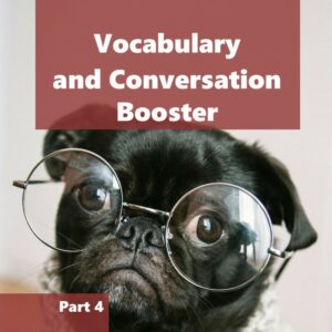 Vocabulary and Conversation Booster - Part 4